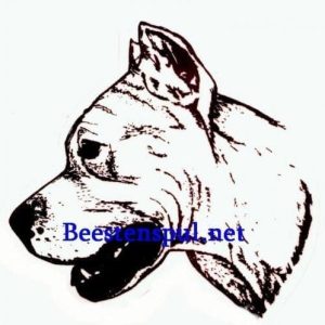 Sticker – Argentijnse Dog – 8