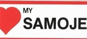Sticker – I Love – Samojeed