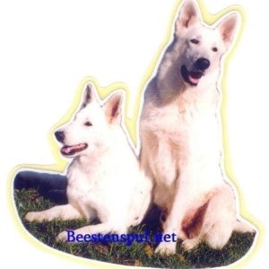 Sticker – Zwitserse Witte Herdershond – 6