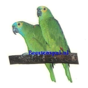 Sticker – Groene Amazone – 1