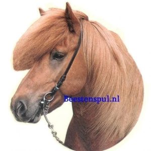 Sticker – Paard – 7