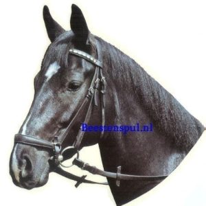 Sticker – Paard – 5