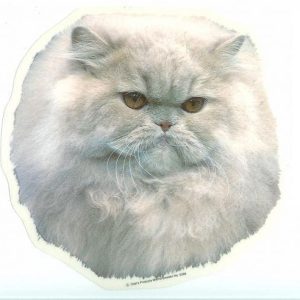 Sticker – Pers – 6