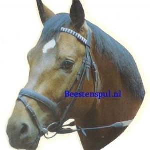 Sticker – Paard – 1