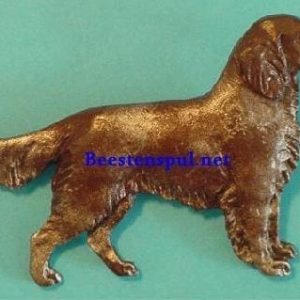 Broche – Duitse Staande Langhaar