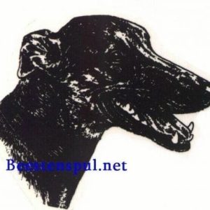 Sticker – Whippet – 8