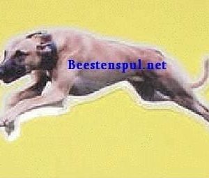 Sticker – Greyhound –  9
