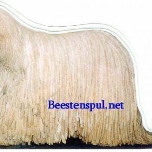 Sticker – Komondor – 4