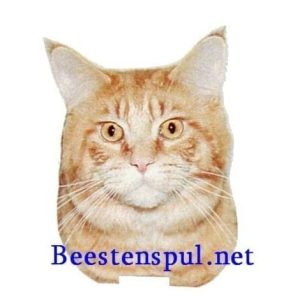 Sticker – Maine Coon