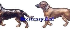 Broche – Bavarian Mountain Hound