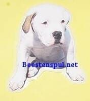 Sticker – American Bulldog – 7