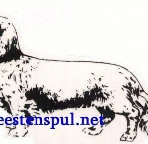 Sticker – Teckel Langhaar – 19