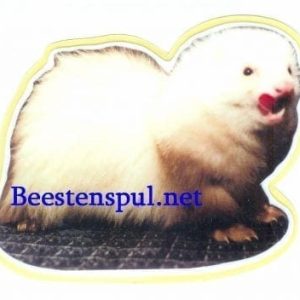 Sticker – Fretten – 1