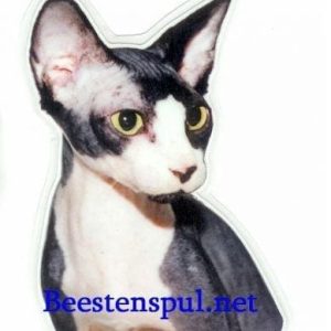 Sticker – Sfinx – 1