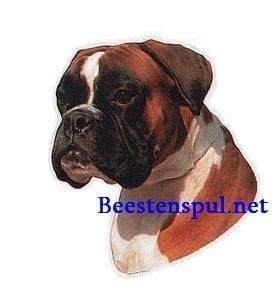 Sticker – Boxer – 2