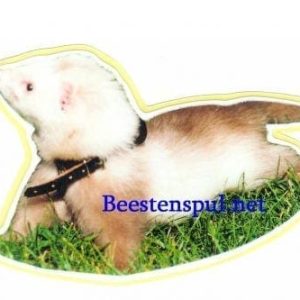 Sticker – Fretten – 3