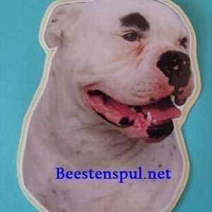Sticker – American Bulldog – 6