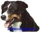 Sticker – Appenzeller – 5