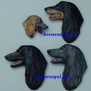 Broche – Afghaan – Kop