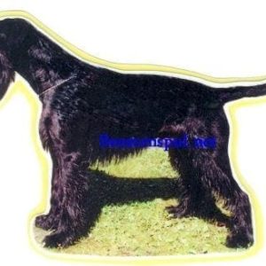 Sticker – Schnauzer – 12