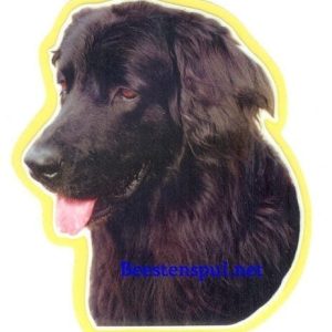 Sticker – Hovawart – 6