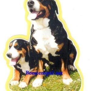 Sticker – Grote Zwitserse Sennenhond – 6