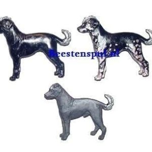 Broche – Mexicaanse Naakthond