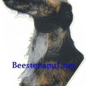 Sticker – Galgo – 1