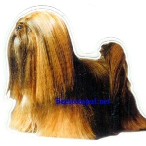 Sticker – Lhasa Apso – 8