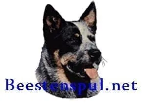 Sticker – Australian Cattle Dog – 1