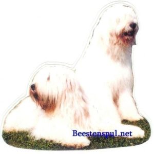 Sticker – Zuid-Russische Owcharka – 3