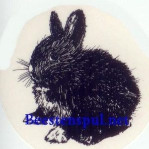 Sticker – Konijnen – 1