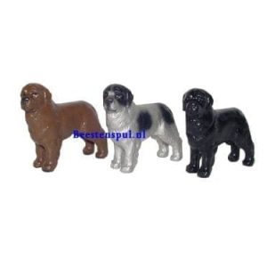 Beeld – Newfoundlander