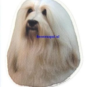 Sticker – Havanezer – 4