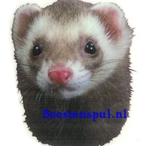 Sticker – Fretten – 4