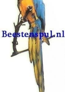 Sticker – Ara – 2