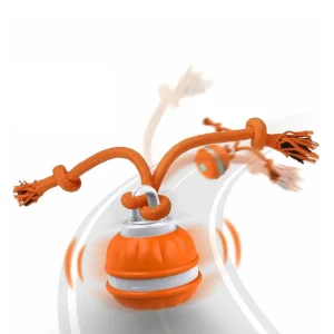 Interactieve Automatische Speelbal voor Honden