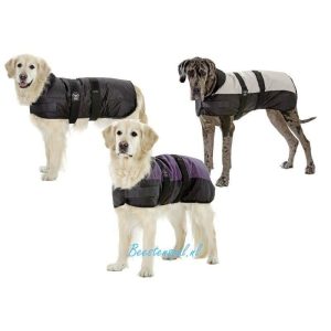 Hondenjas – Polar Bear