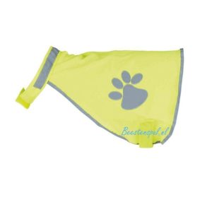 Veiligheidsvest – Reflectie Geel