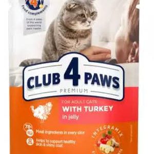 Club 4 Paws met kalkoen in gelei-volwassen kat-100 gram