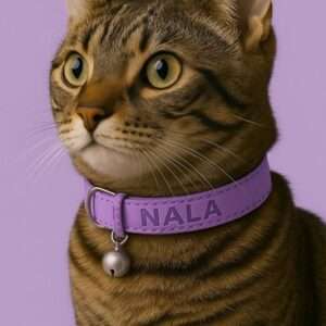 Gepersonaliseerde luxe lila leren kattenhalsband 15mm breed met bel