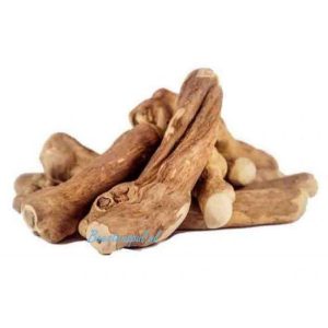 Beestenspul – Koffieboom Wortel