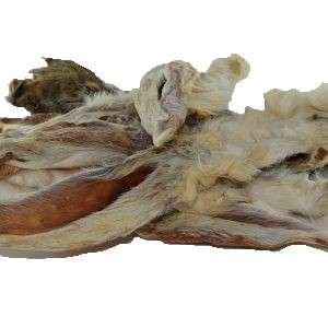 Konijnenoren met haar