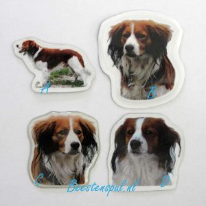 Magneetje – Kooikerhondje