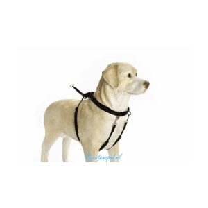 Beeztees – Nylon Gentle Walker