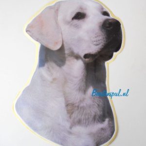 Sticker – Labrador Blond – 1