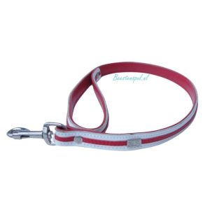 Lijn – Rood/wit
