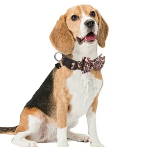 Luxe Halsband met Luipaardprint en Afneembare Strik