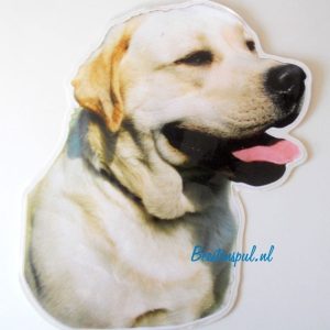 Sticker – Labrador Blond – 3