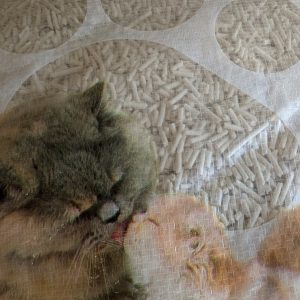 natural need pellet naturel 30l